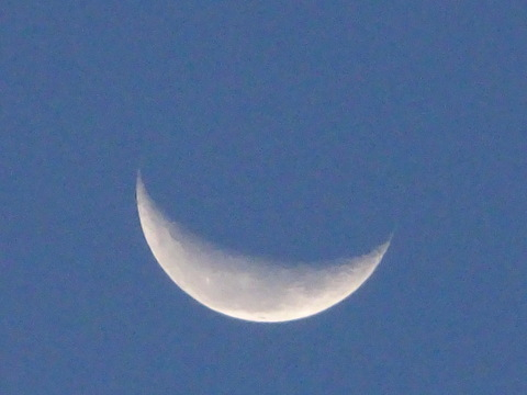 05dsc04254