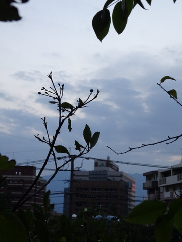 07dsc04256