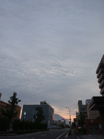 02dsc05407