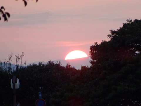 05dsc05410