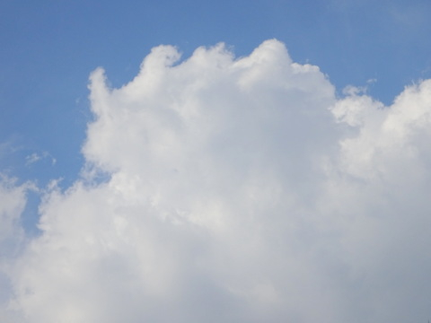 1dsc05503