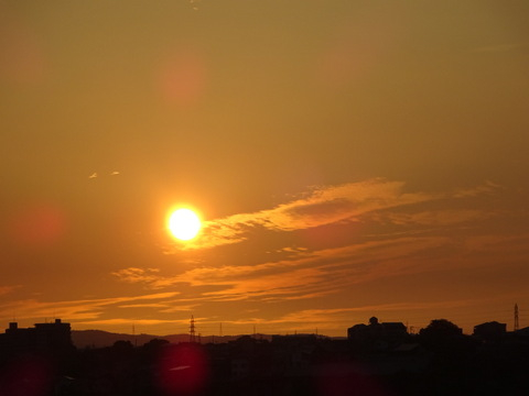 1dsc05509