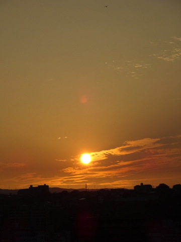 1dsc05513