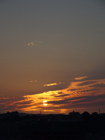 1dsc05521