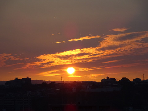 1dsc05526