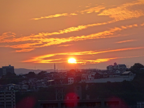 1dsc05534_2