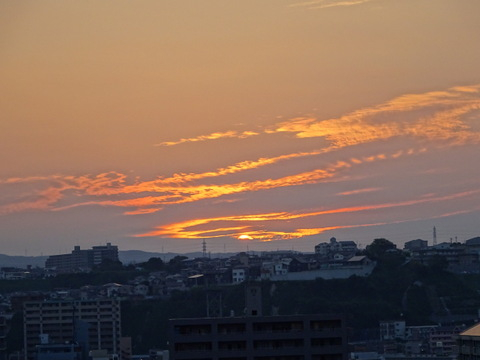 1dsc05537_2