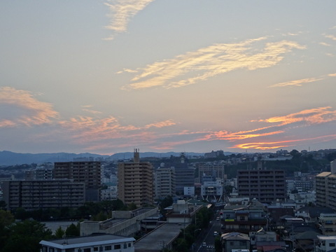 1dsc05542