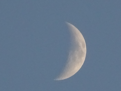 1dsc05545