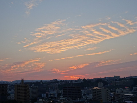 1dsc05550