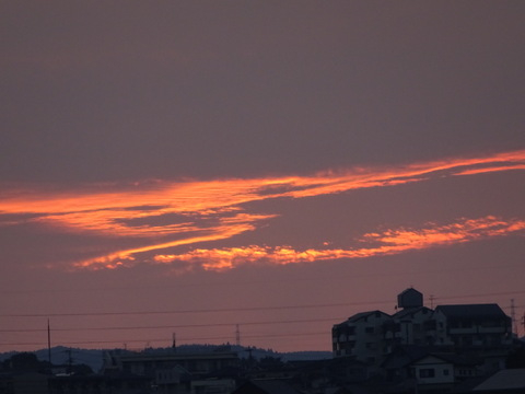 1dsc05556