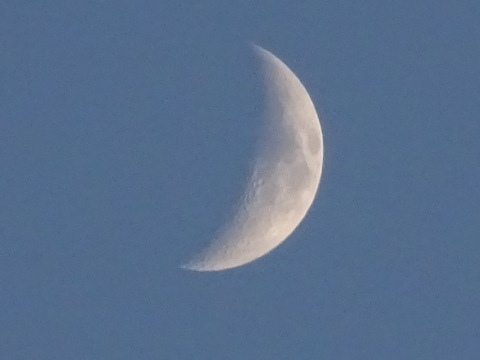 1dsc05558