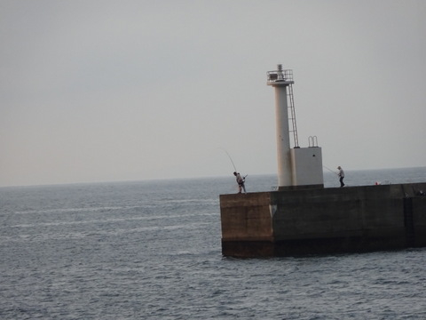 53dsc05459