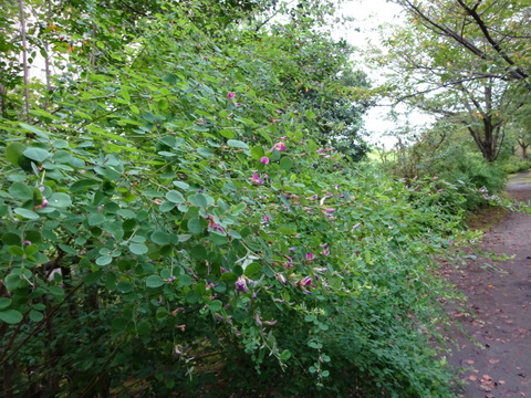 76dsc05482