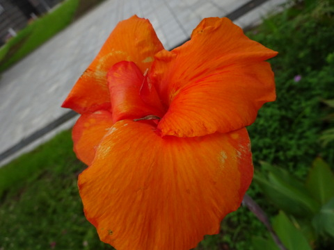 90dsc05496