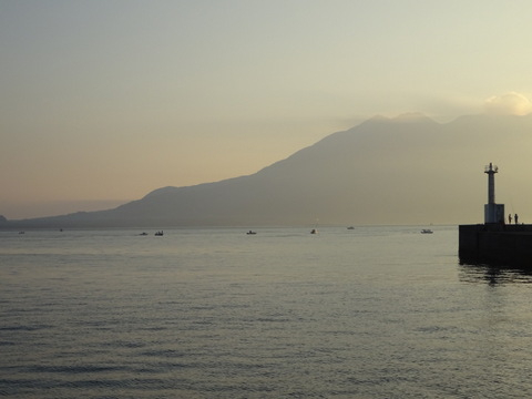 06dsc05581