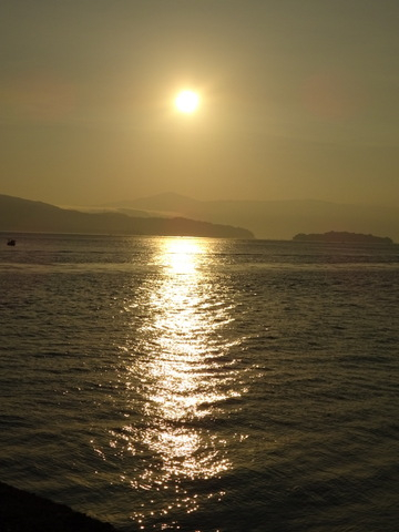 17dsc05595