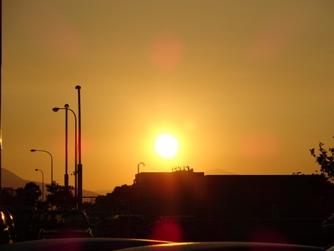 1dsc05565