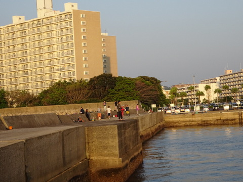 26dsc05607