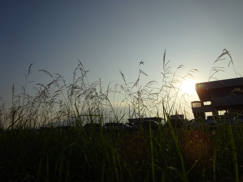 34dsc05624