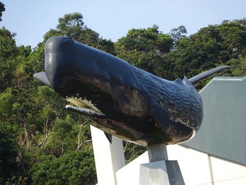 17dsc05693 17dsc05693