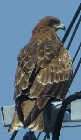 1dsc05638