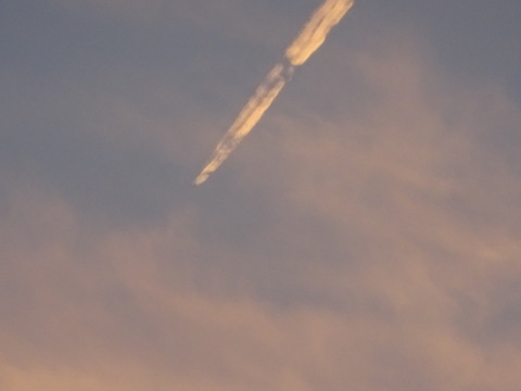 28dsc05706