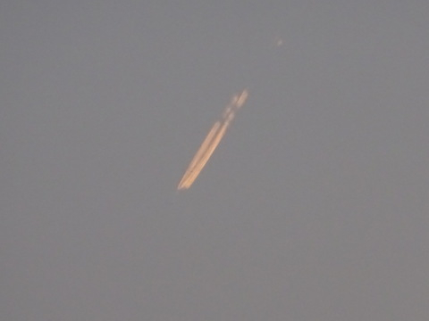 29dsc05707