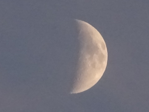 33dsc05711