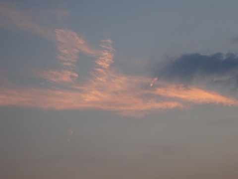 37dsc05715
