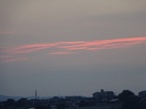 40dsc05718