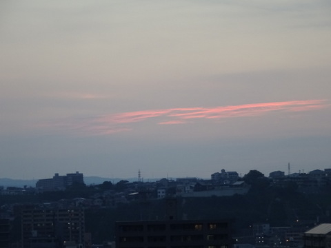 41dsc05719