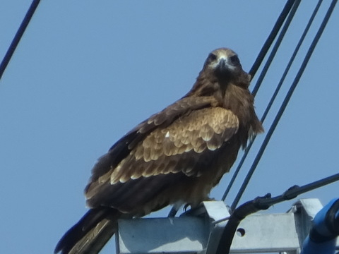 42dsc05635