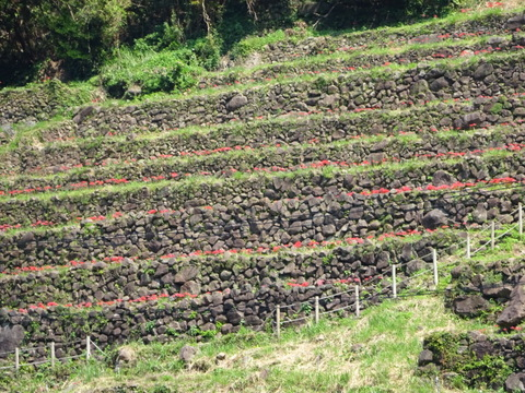 65dsc05660_2 65dsc05660_2