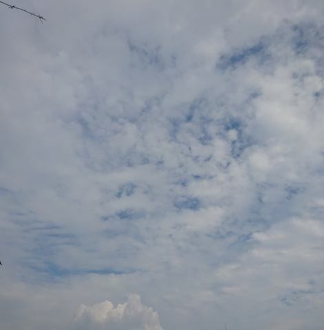 1dsc05723