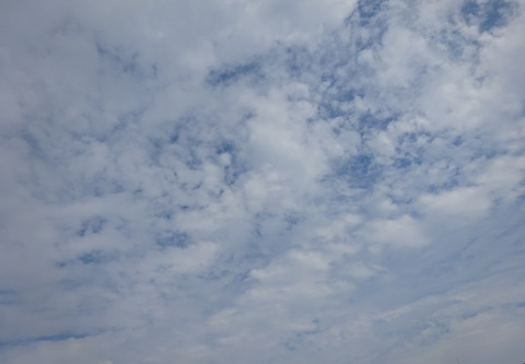 1dsc05724