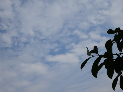 1dsc05727