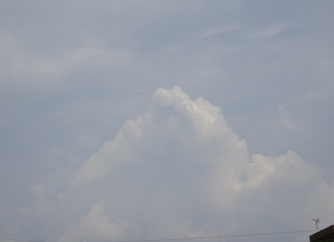 1dsc05735