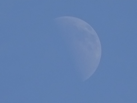 1dsc05738