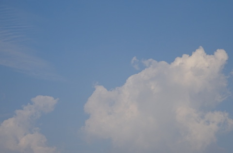 1dsc05739