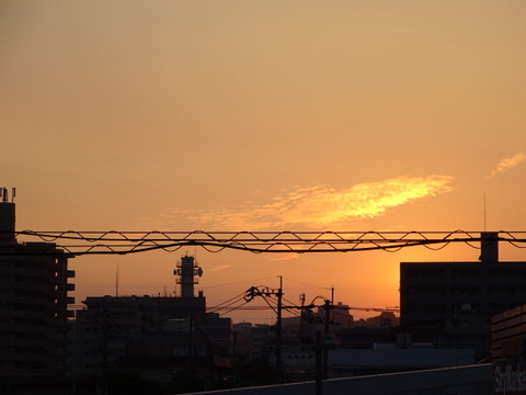 1dsc05741