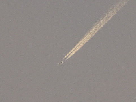 1dsc05744