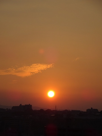 1dsc05747