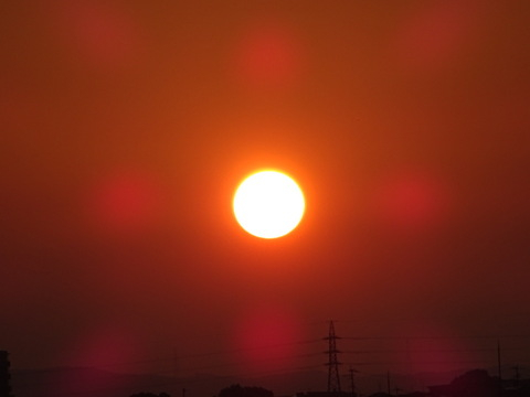 1dsc05751