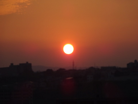 1dsc05756