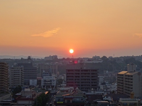 1dsc05759