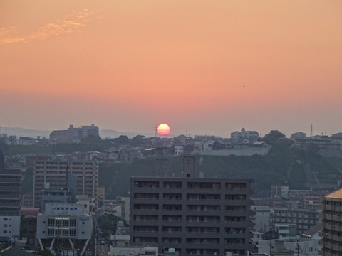1dsc05766