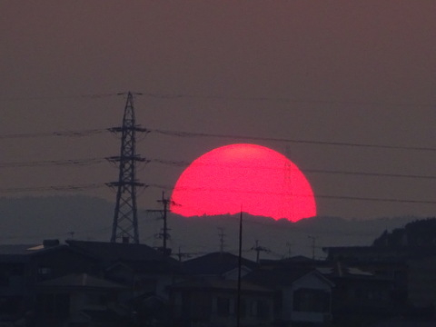1dsc05769