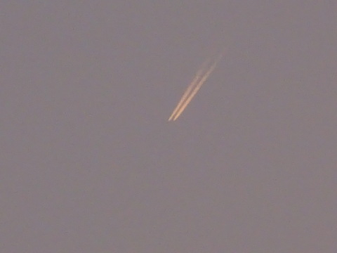 1dsc05774