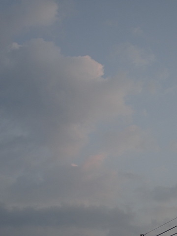 1dsc05775